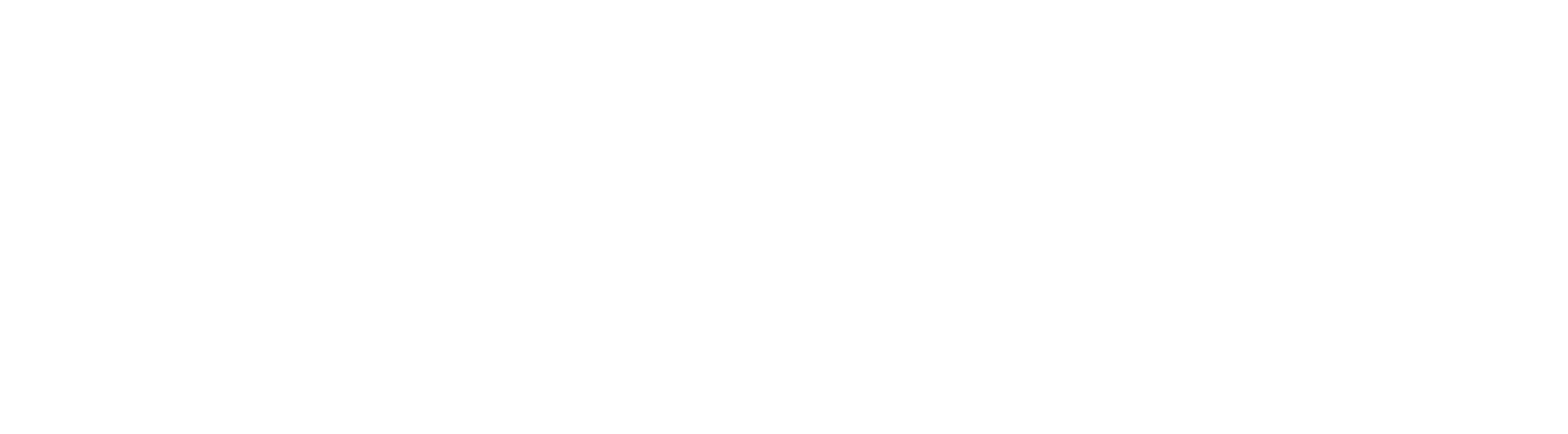 PORTA LLC